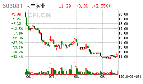 大豐實業對外投資設立全資子公司并完成工商登記